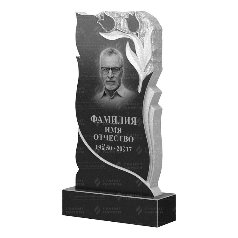 Гранитные памятники в Подольске | Гранитный памятник ФГ-223